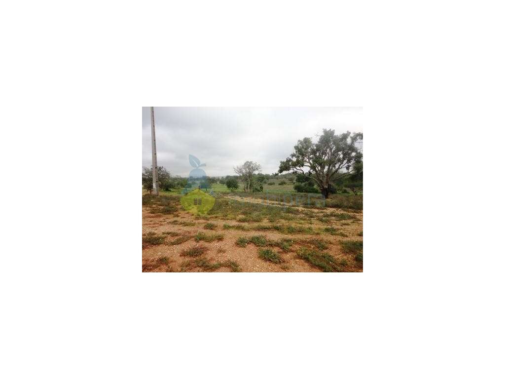 Terreno com 14.800 m2 em Alcantarilha - Grande imagem: 4/5