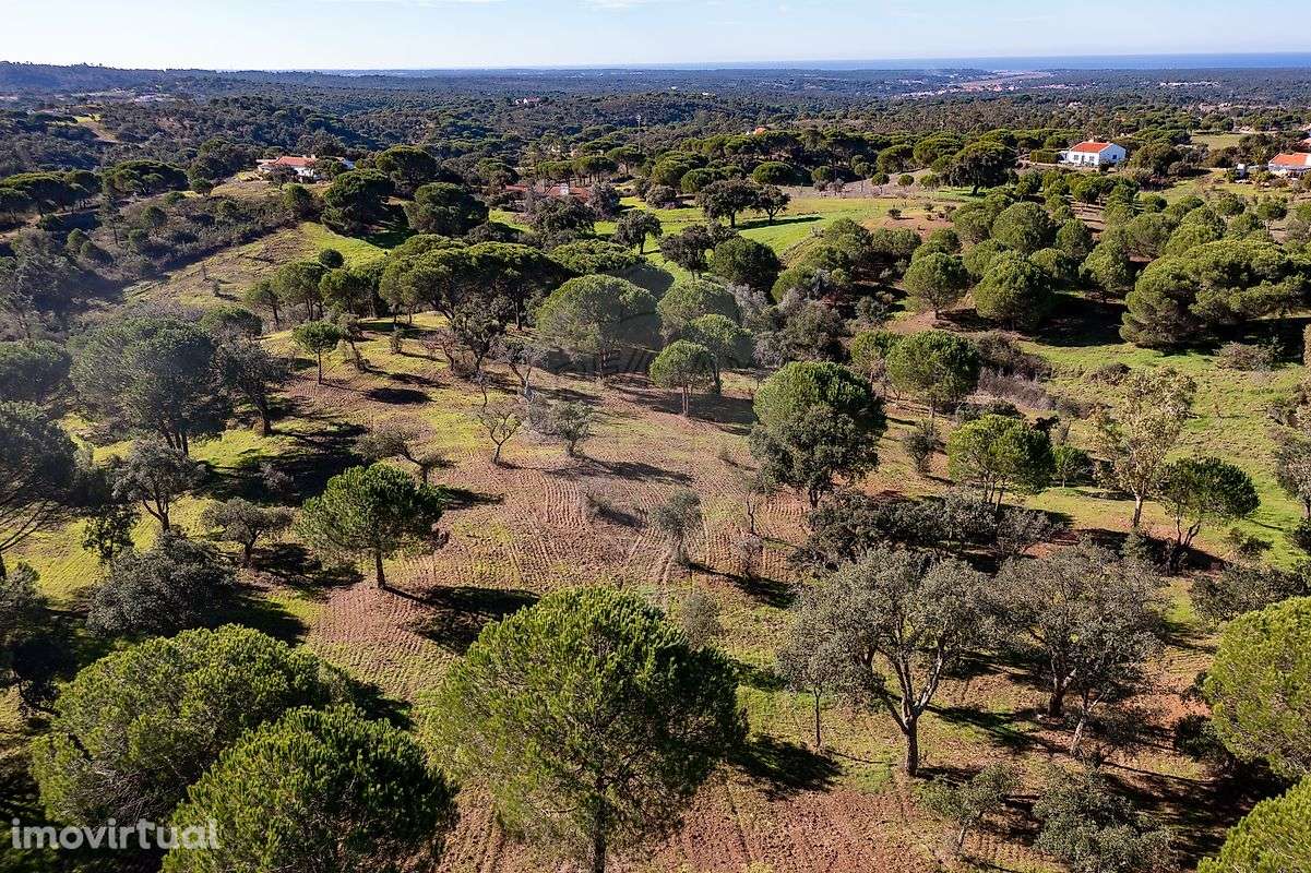 Terreno  para venda - Grande imagem: 4/13