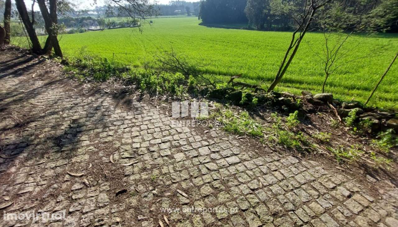 Venda de Terreno, Vairão, Vila do Conde - Grande imagem: 4/11