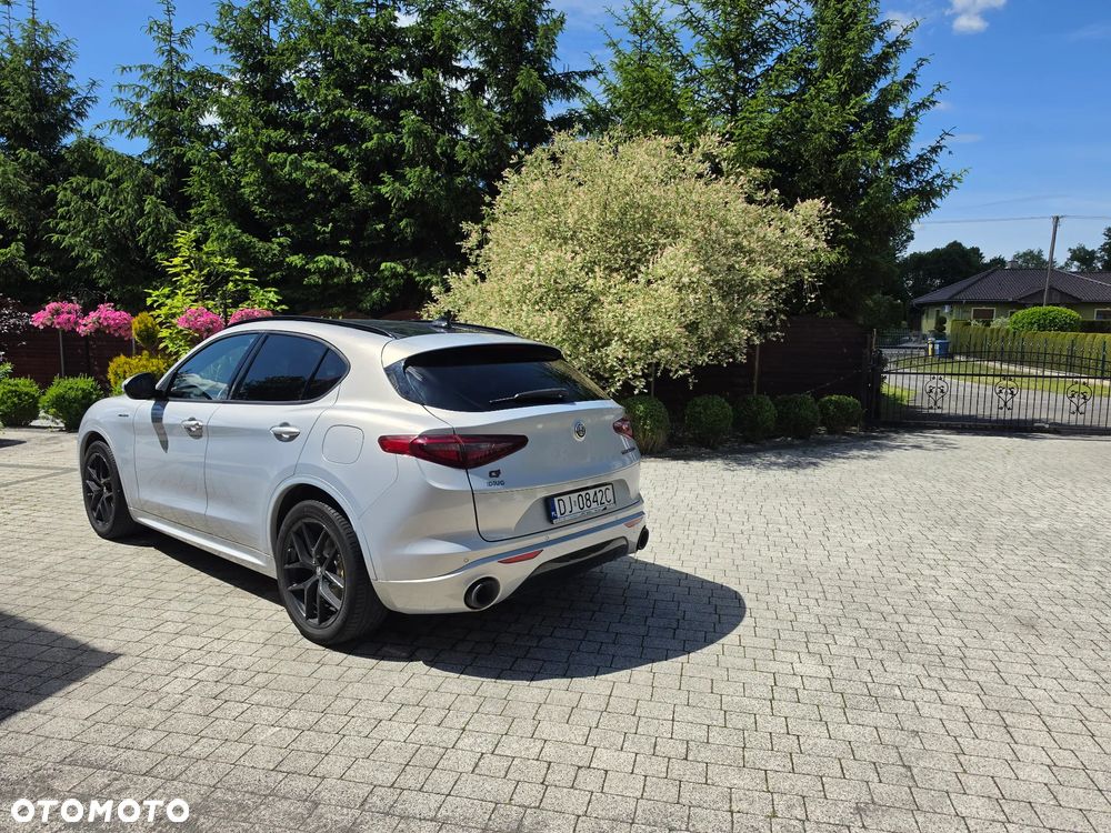 Alfa Romeo Stelvio 2.0 Turbo Veloce Q4 - 2