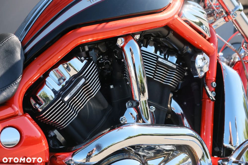 Harley-Davidson Softail V-Rod - 18