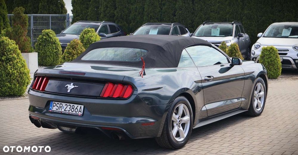 Ford Mustang - 7