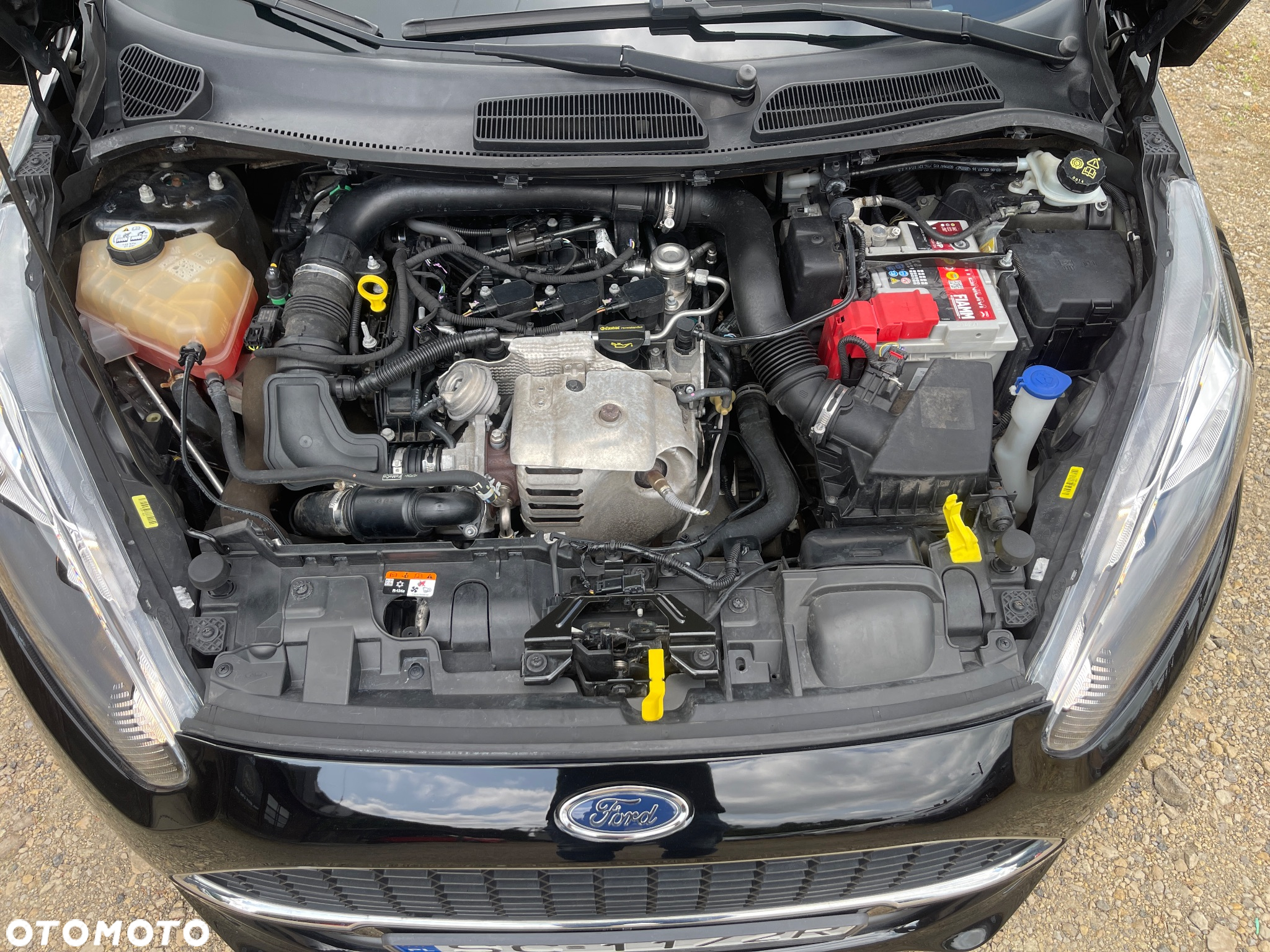 Ford Fiesta 1.0 EcoBoost Gold X - 25