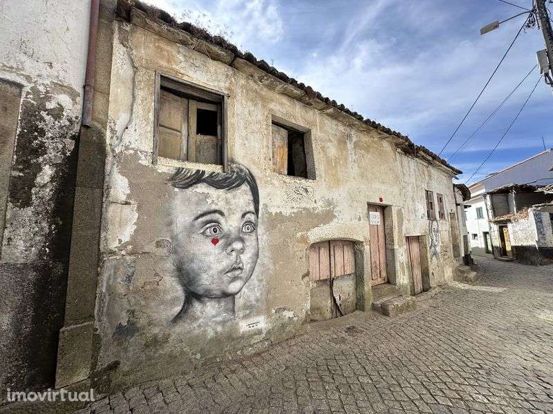 Oportunidade na Aldeia Vinhateira de Trevões - Grande imagem: 4/10