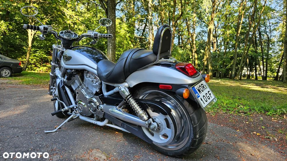 Harley-Davidson Softail V-Rod - 7
