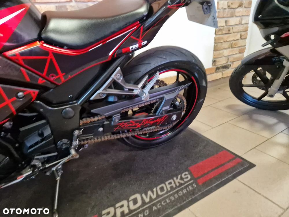 Kawasaki Ninja 300 ABS - 8