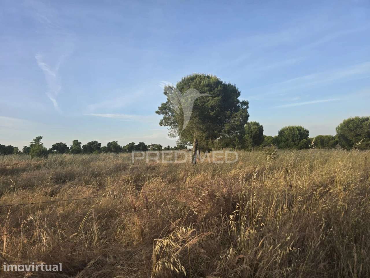 HERDADE COM 55,9 HECTARES E RUÍNA COM POTENCIAL TURÍSTICO NO CONCEL... - Grande imagem: 5/10