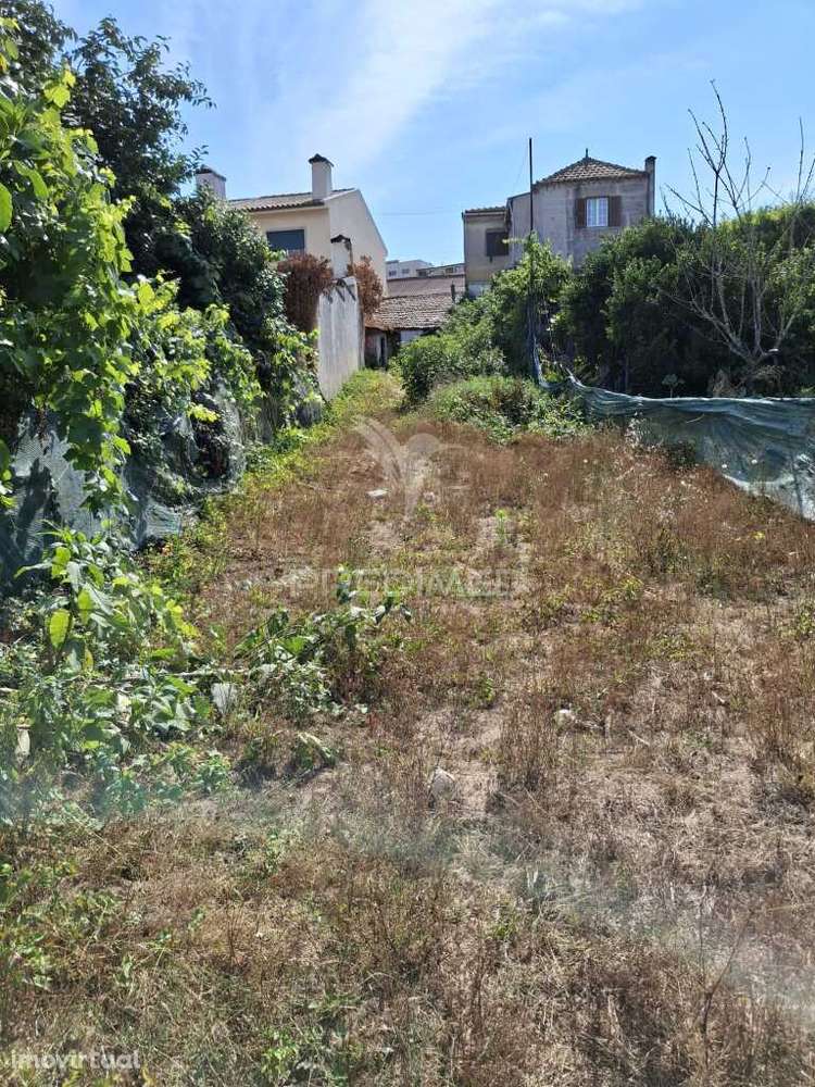 CASA TÉRREA NA ZONA DA LIXA, FELGUEIRAS, PORTO - Grande imagem: 4/7