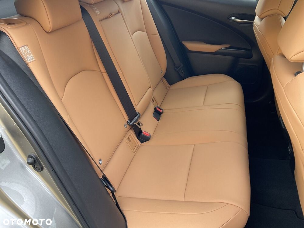 Lexus UX 250h GPF F Sport Design 2WD - 13