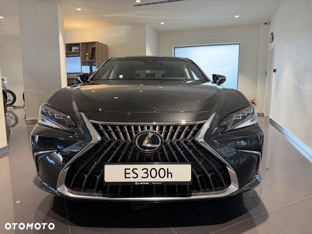 Lexus ES 300h Omotenashi - 6