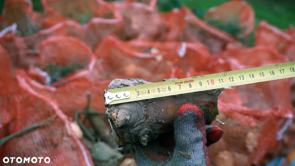 Remet CNC Technology REMET R-60 - 15