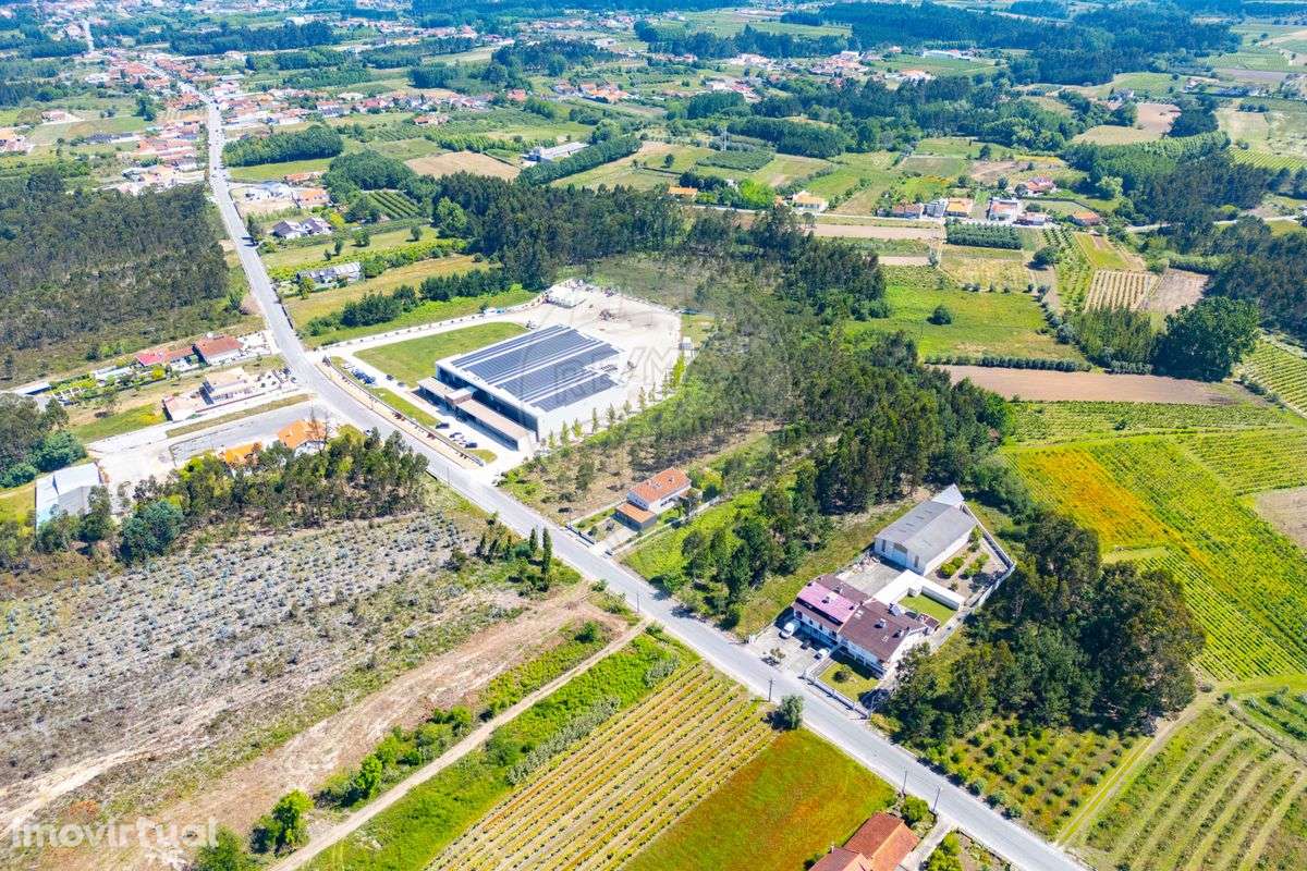 Terreno  para venda - Grande imagem: 5/6