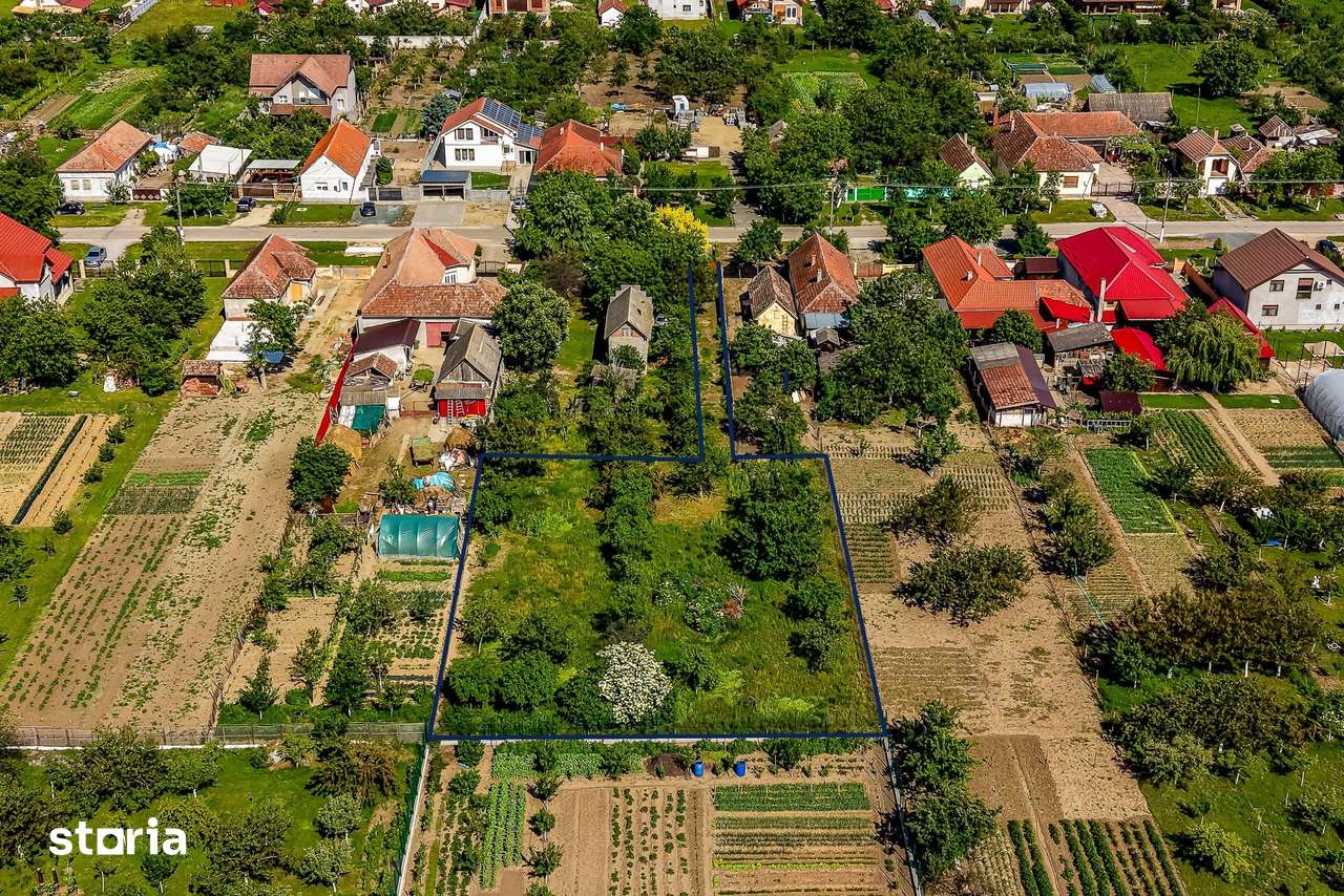 Teren intravilan 1594 mp în Cicir – la doar 9 km de Arad! - COMISION 0 - Imagine principală: 2/7