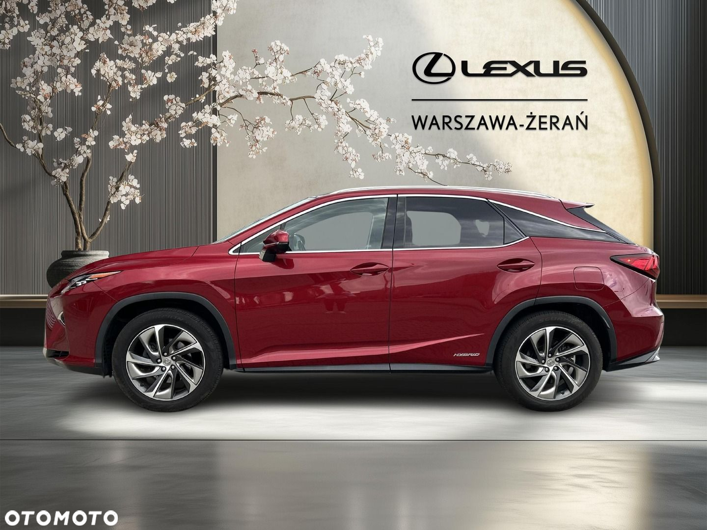 Lexus RX - 4