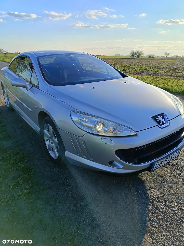 Peugeot 407 HDi FAP 135 Platinum - 8