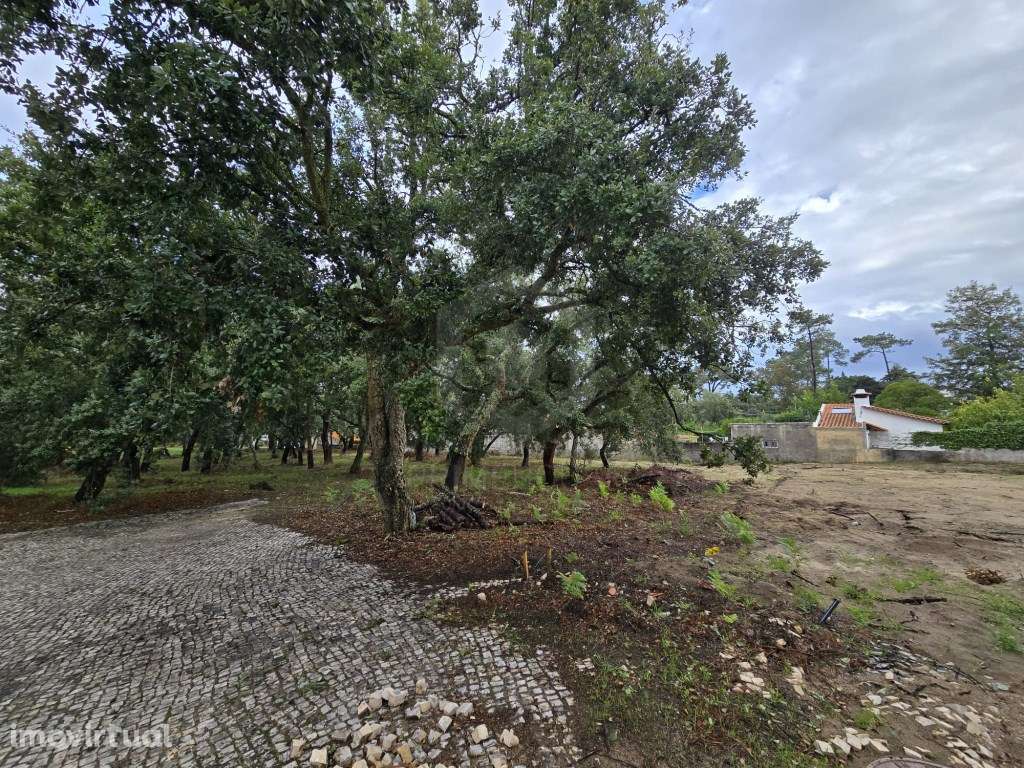 Terreno para construção de moradia isolada no Alto das Vinhas, Sesi... - Grande imagem: 5/5