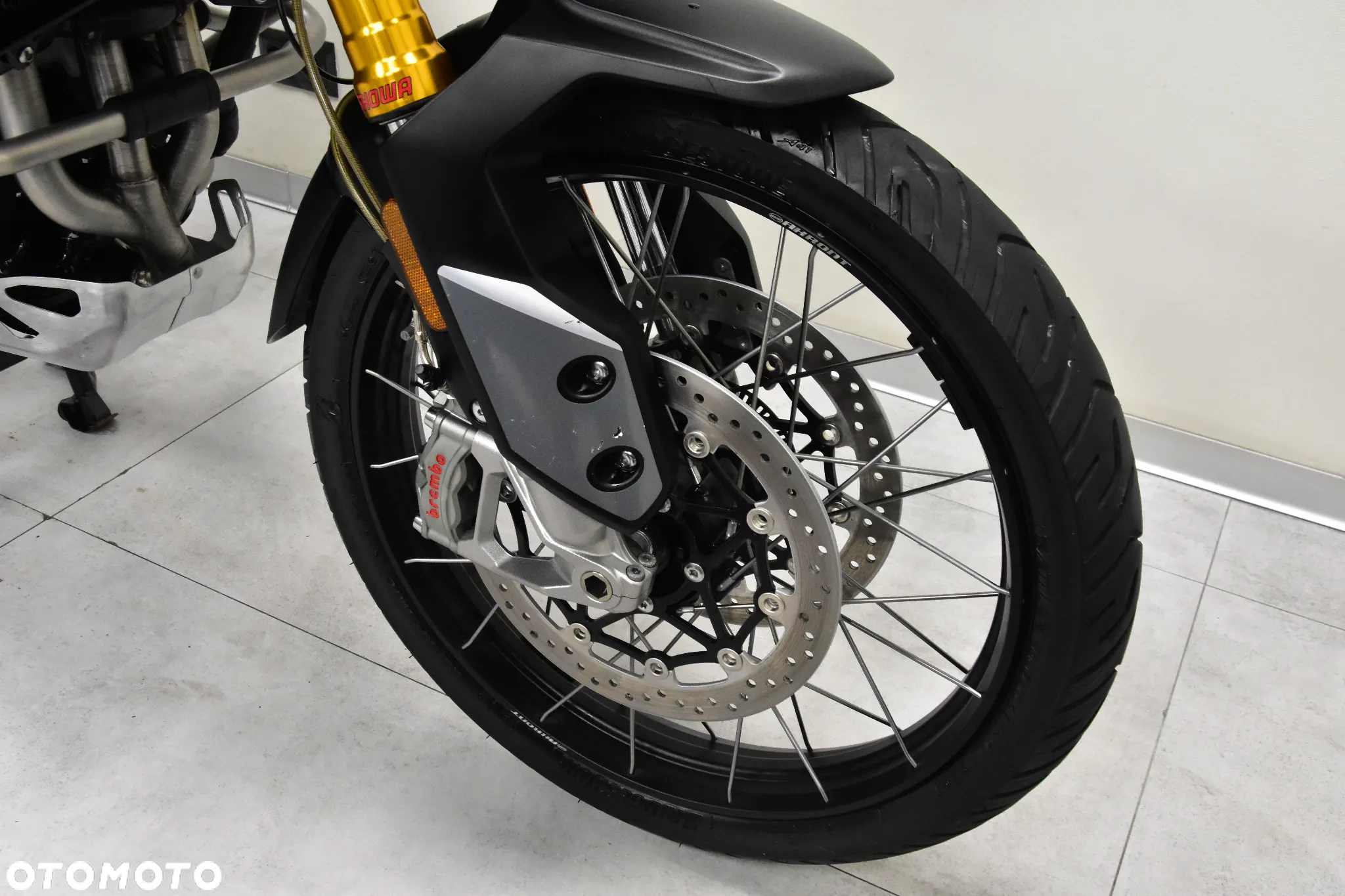 Triumph Tiger - 25