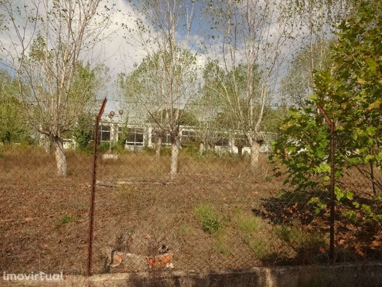 Armazém - Grande imagem: 3/20