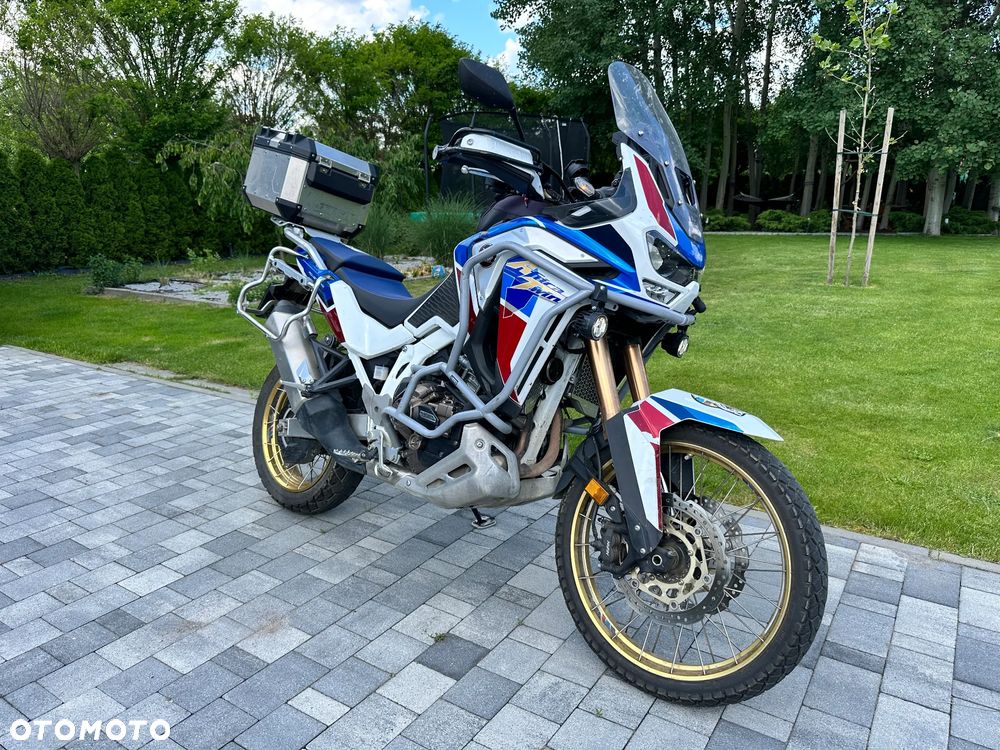 Honda CRF - 19