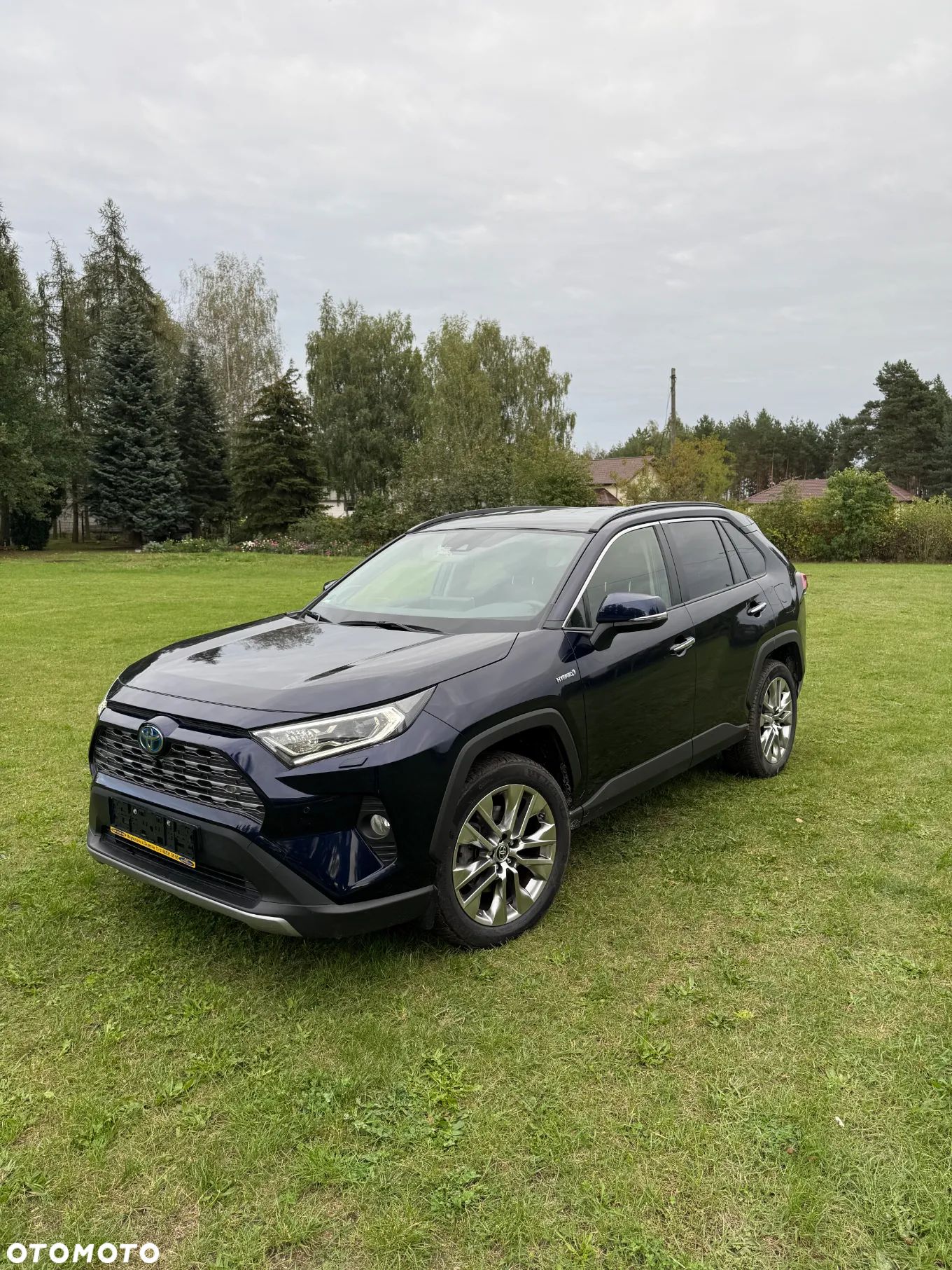 Toyota RAV4 2.5 Hybrid Executive 4x2 - 1