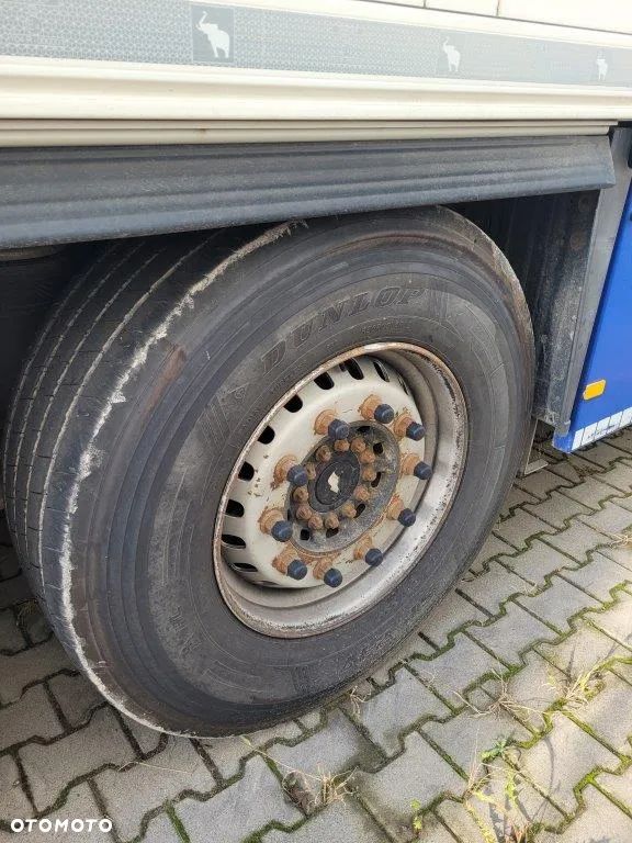 Schmitz Cargobull Chłodnia / Thermo King 300/ Kwiatówka/TIP 566319 - 13