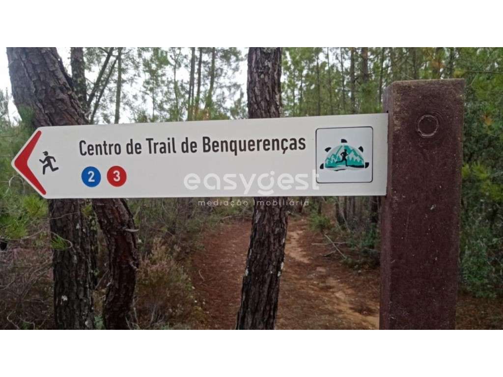 Terreno Rústico em Benquerenças junto a percurso de Trail - Grande imagem: 2/14