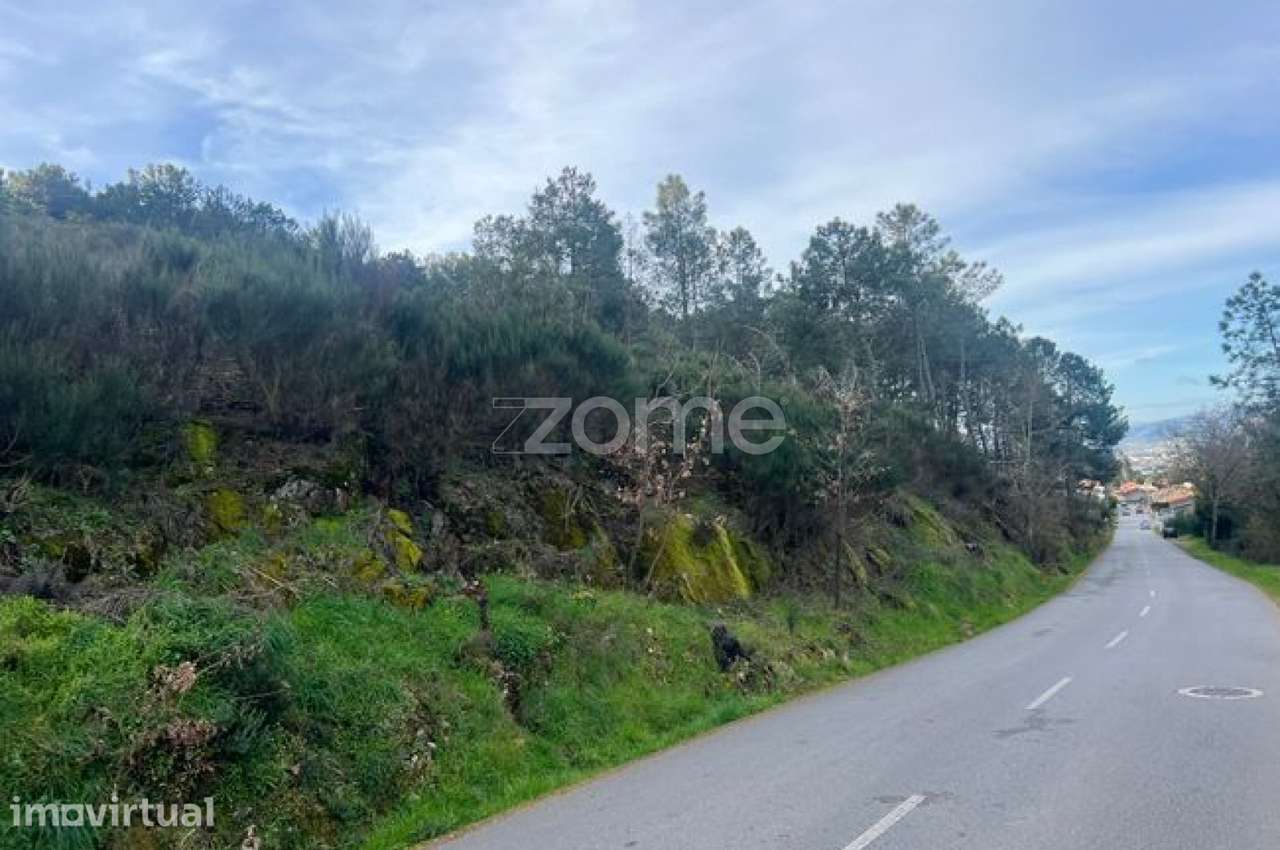 Terreno em Zona Florestal – Ideal para Cultivo ou Caravana - Grande imagem: 5/9