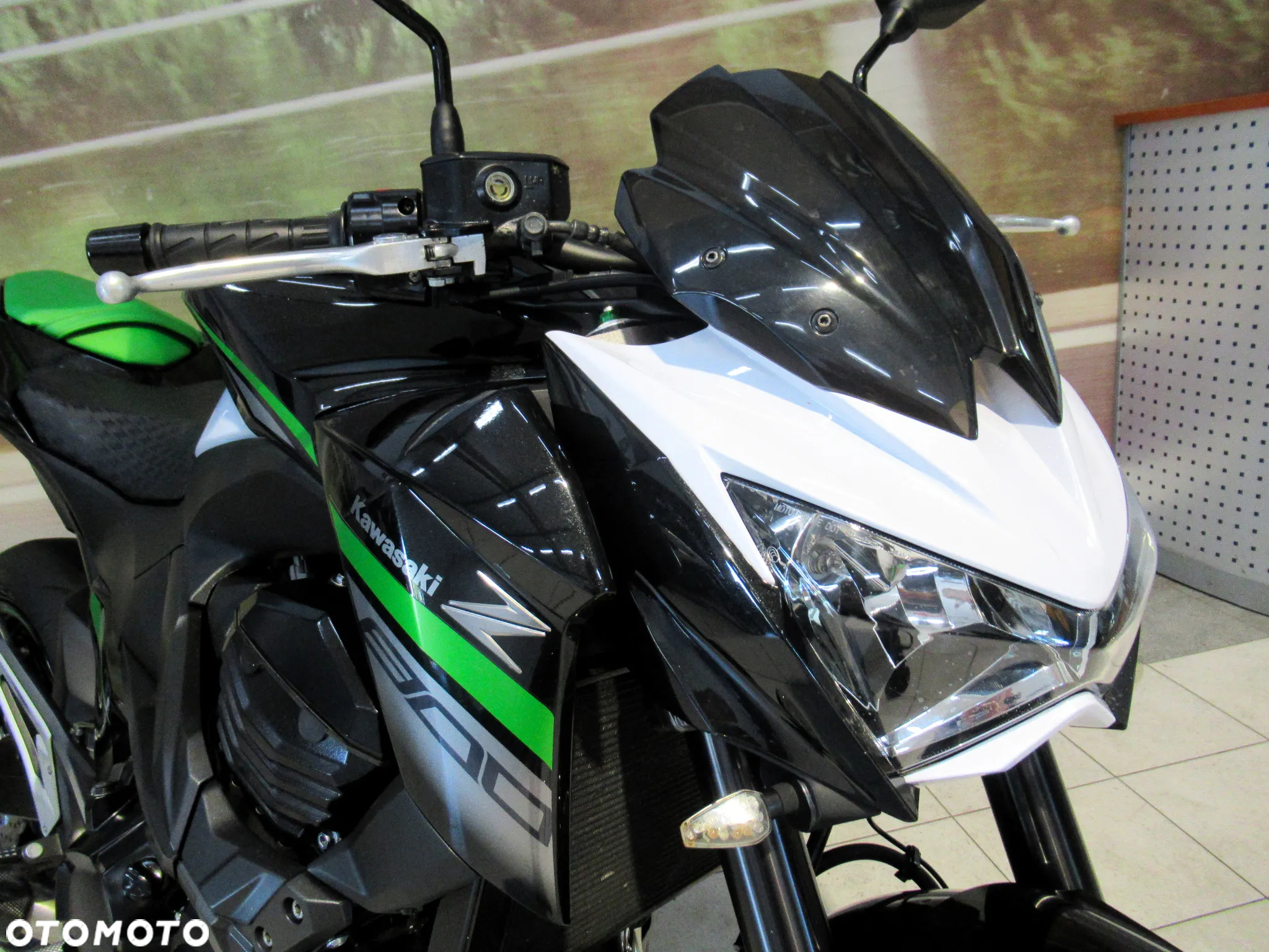 Kawasaki Z - 17