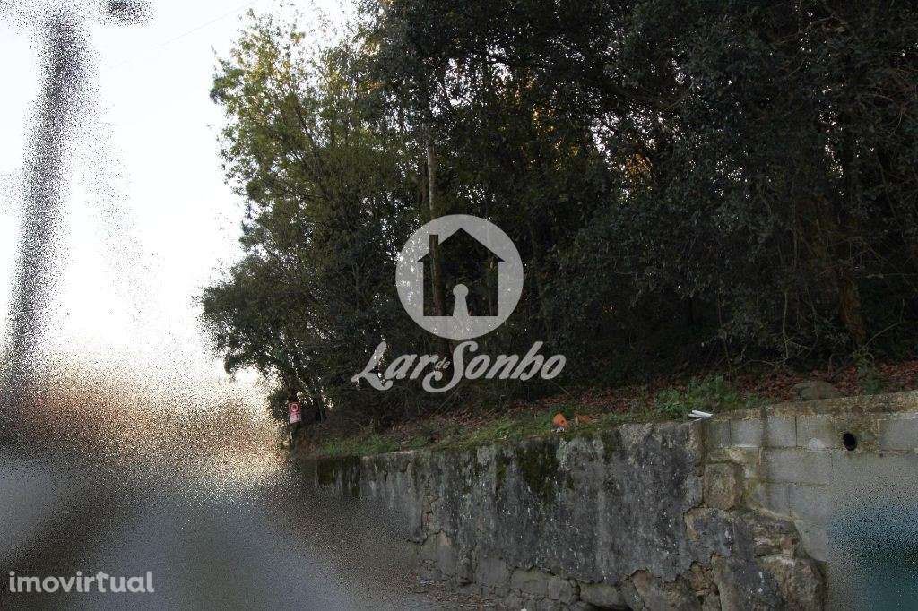 Terreno p/ construção c/ 4000m2 - Touguinha - Grande imagem: 2/2