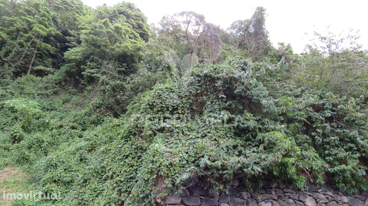 TERRENO  COM 2.387M2 NO ESTREITO DE CÂMARA DE LOBOS - Grande imagem: 2/8