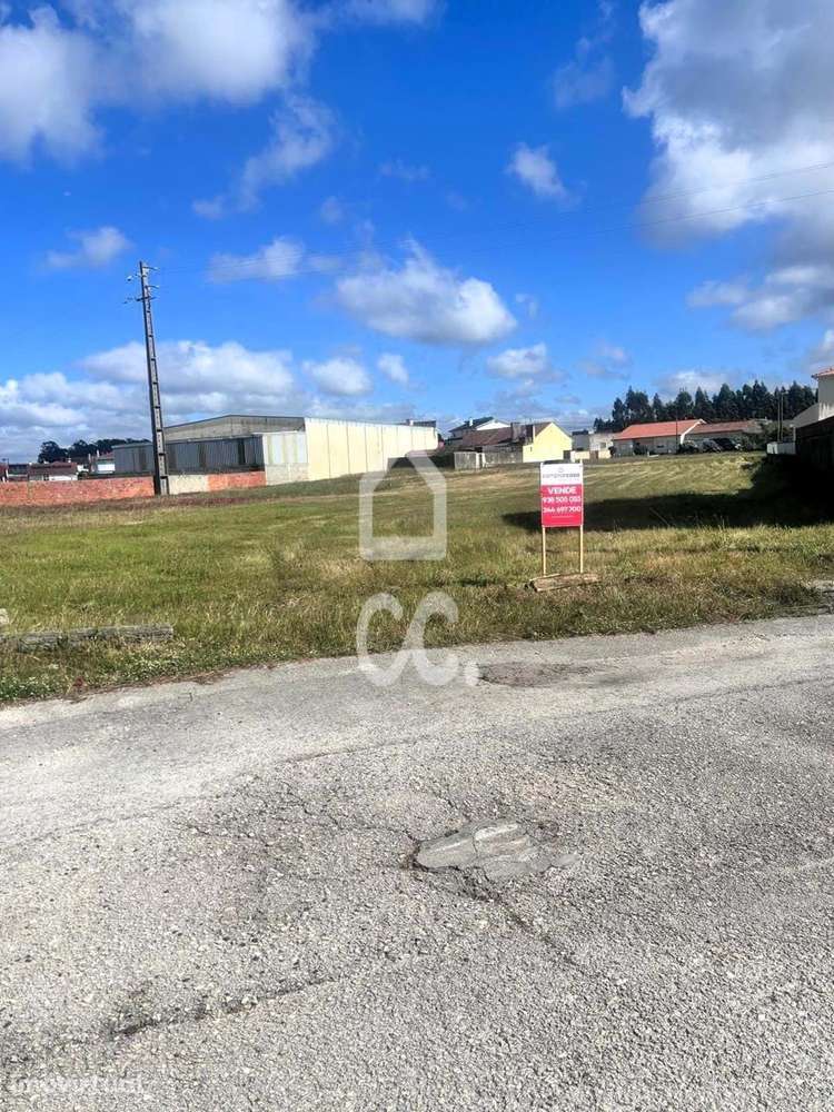 VIEIRA DE LEIRIA---Terreno para construção urbana, com duas frentes, á - Grande imagem: 5/12