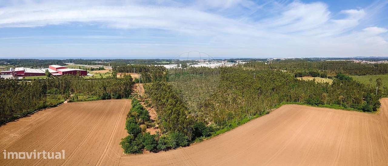 Terreno  para venda - Grande imagem: 2/4