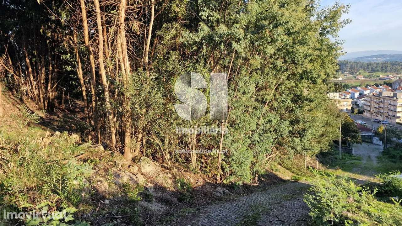 Terreno T0 - Grande imagem: 5/31