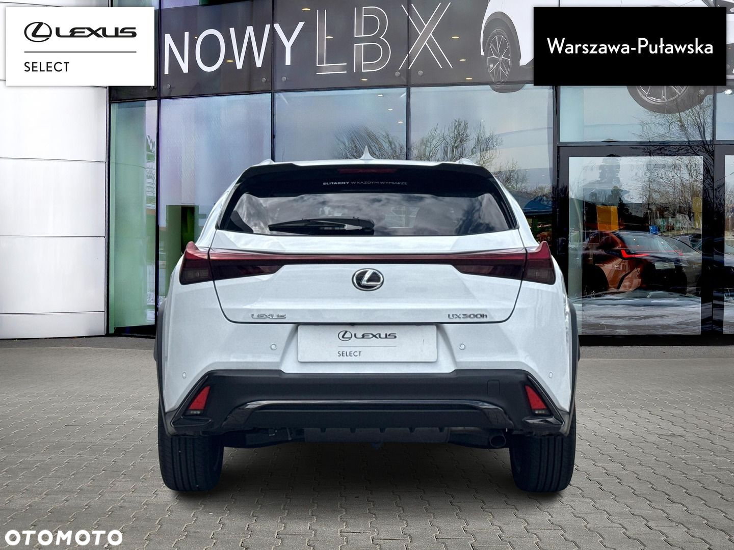 Lexus UX - 8