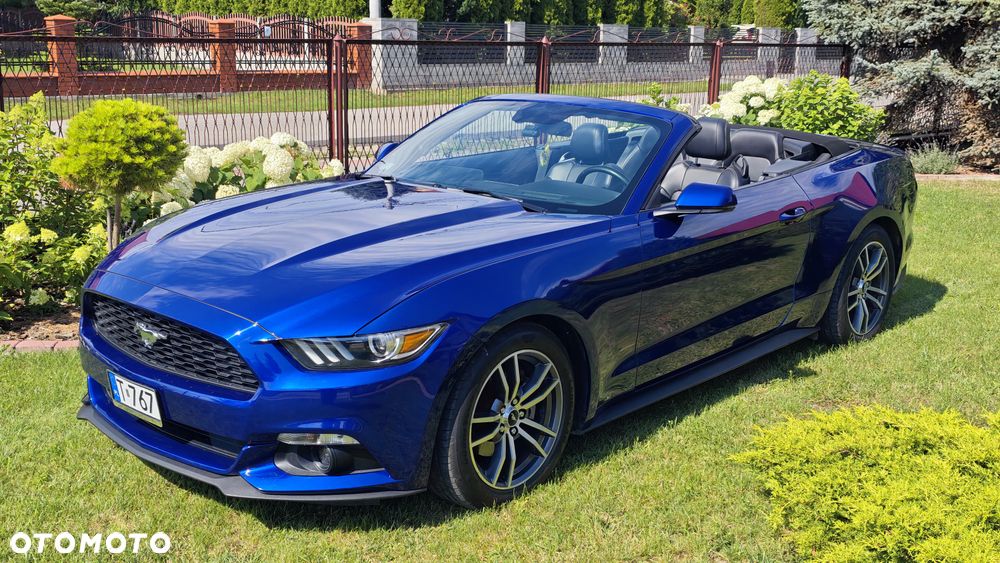 Ford Mustang 2.3 EcoBoost - 5