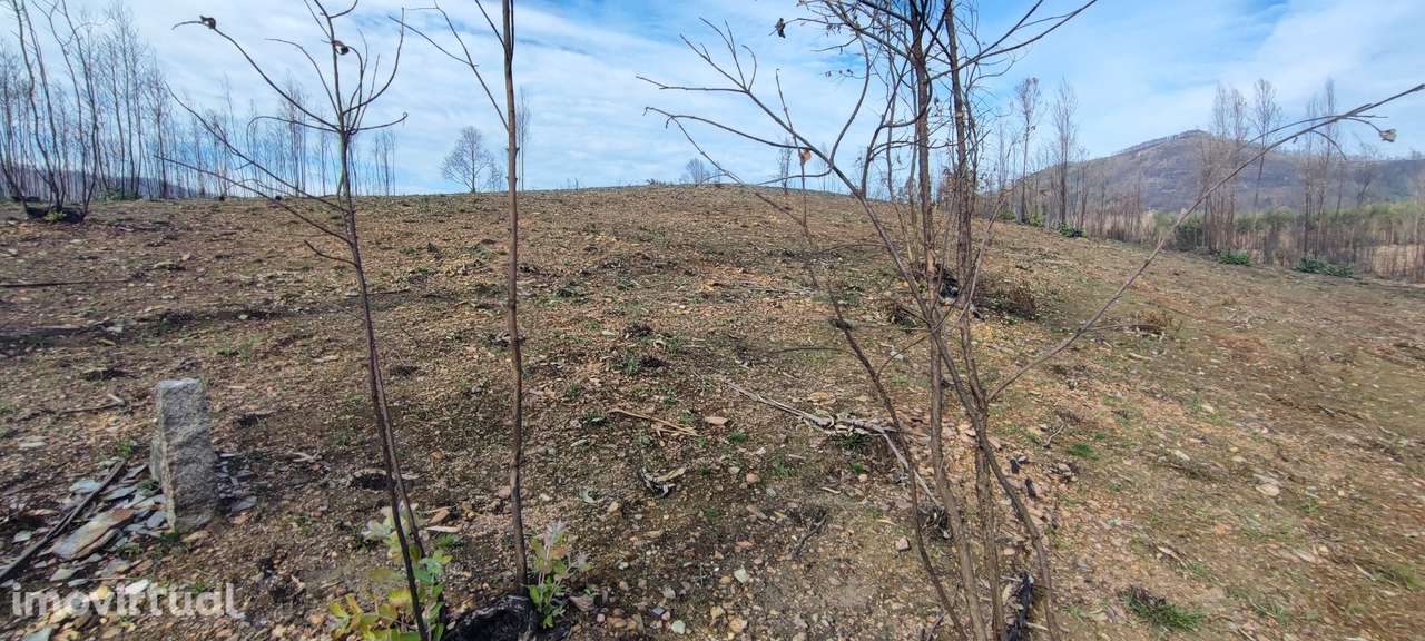 Terreno  Venda em Melres e Medas,Gondomar - Grande imagem: 5/8