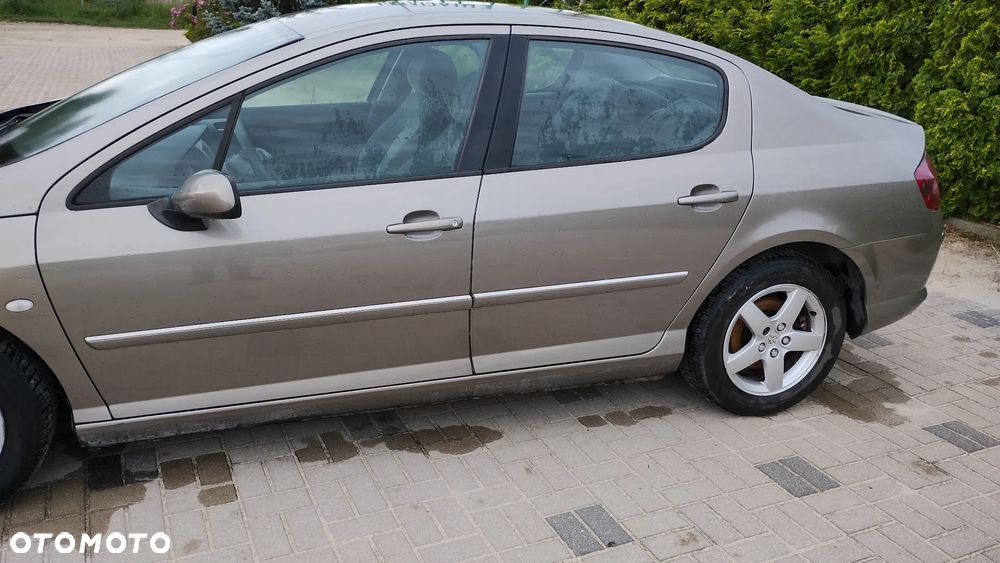 Peugeot 407 - 5