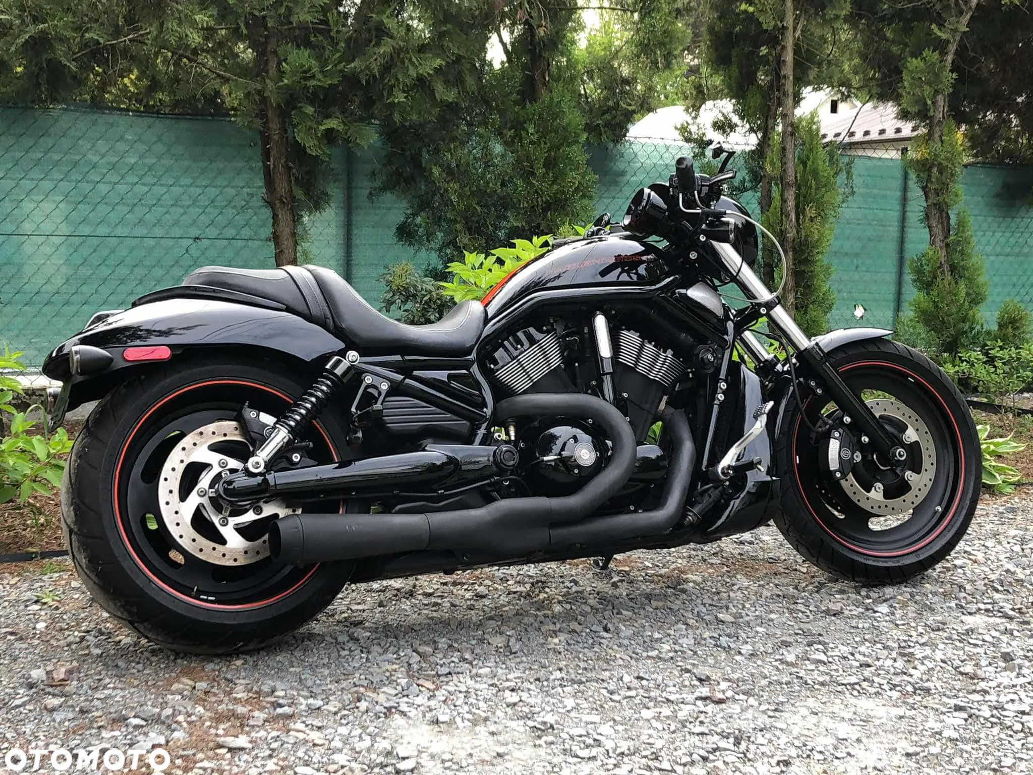 Harley-Davidson V-Rod Night Rod - 4