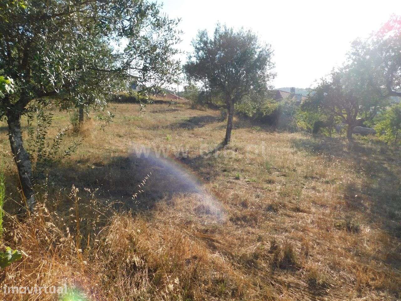 Terreno / Seia, Seia - Grande imagem: 3/12