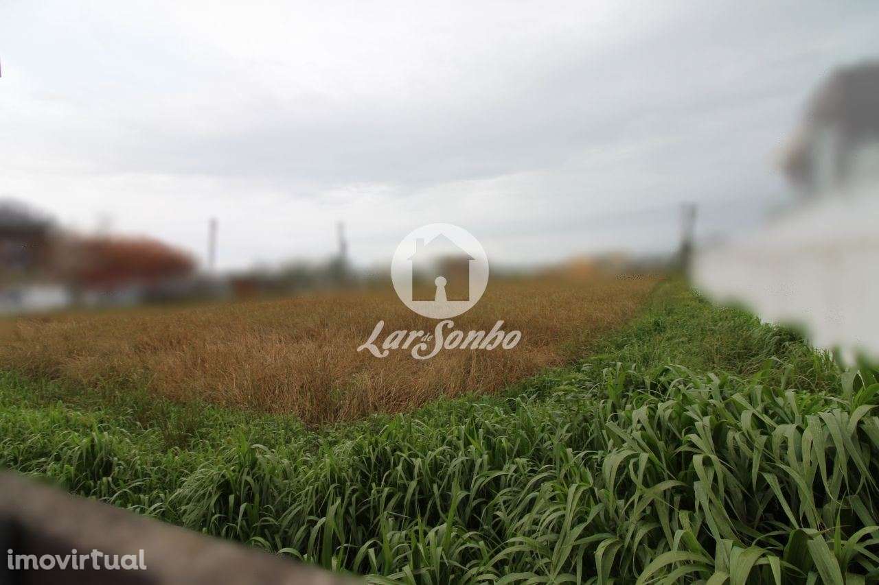 Terreno para construção com 4.100m2 em Mindelo, Vila do Conde - Grande imagem: 2/3