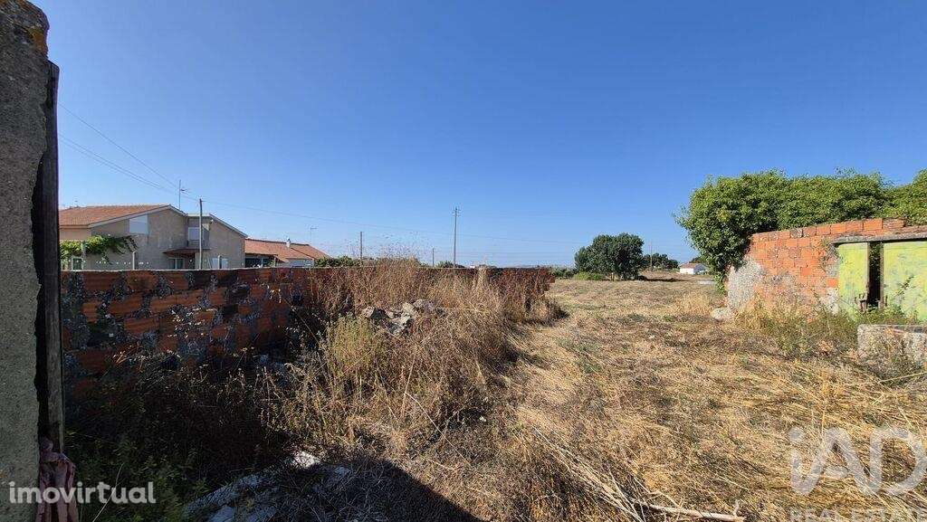 Terreno em Porto de Mós - São João Baptista e São Pedro de 4560,00 m2 - Grande imagem: 4/7