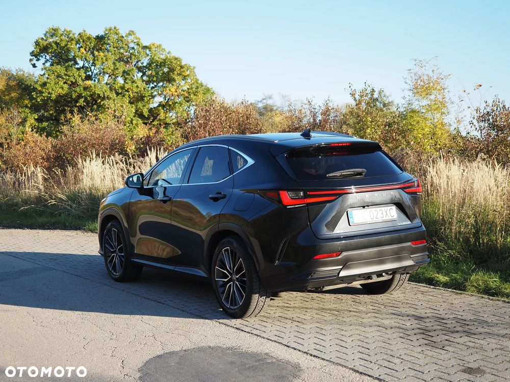 Lexus NX - 3