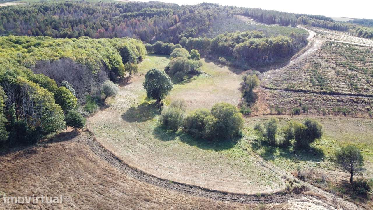 Duas habitações em 18 hectares - Grande imagem: 3/21