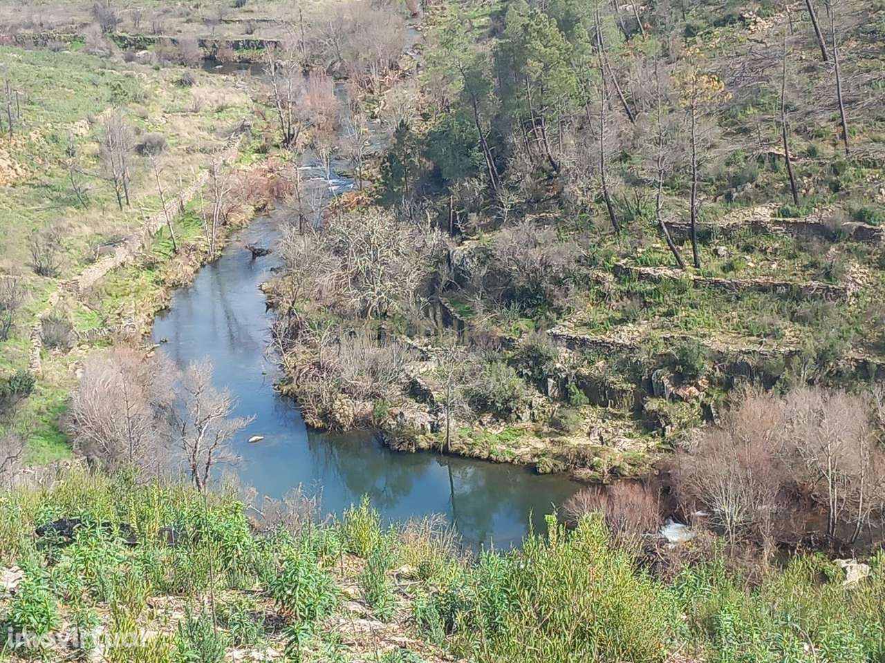 Terreno Rustico com 6220m2 Sobrainho da Ribeira-Sarzedas - Grande imagem: 2/17