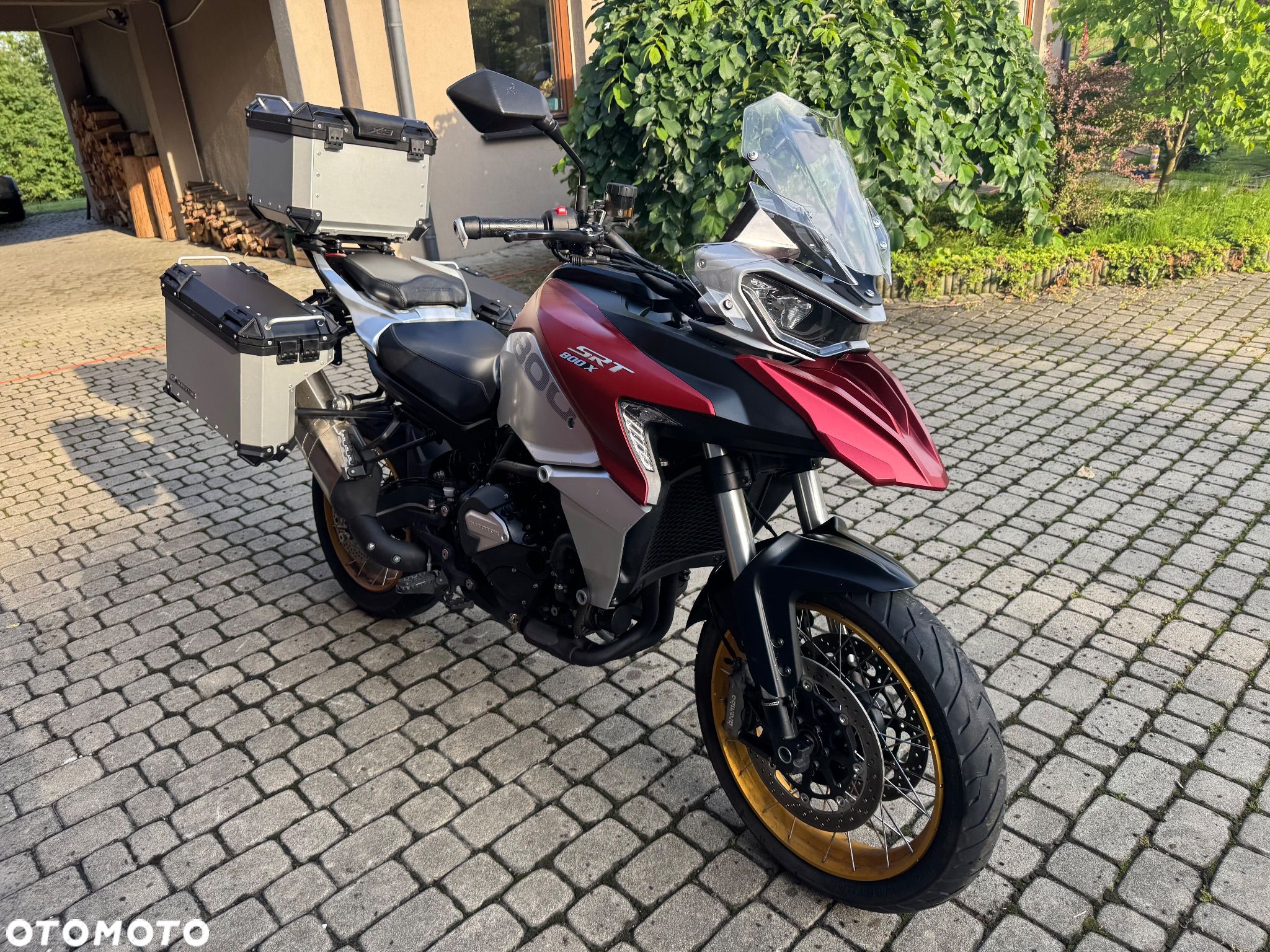 QJMOTOR SRT 800SX - 1