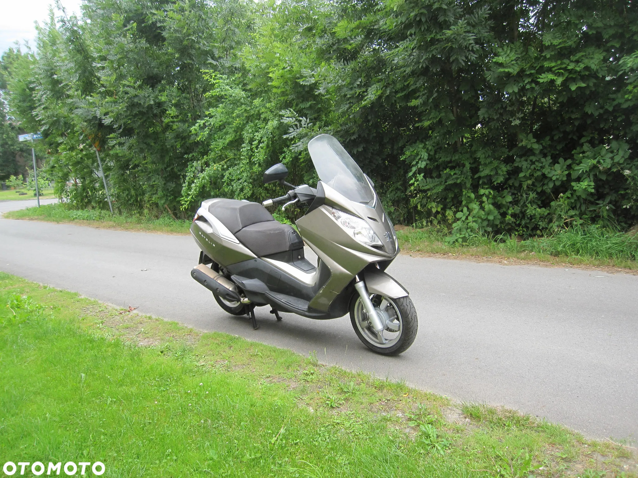 Peugeot Satelis - 7