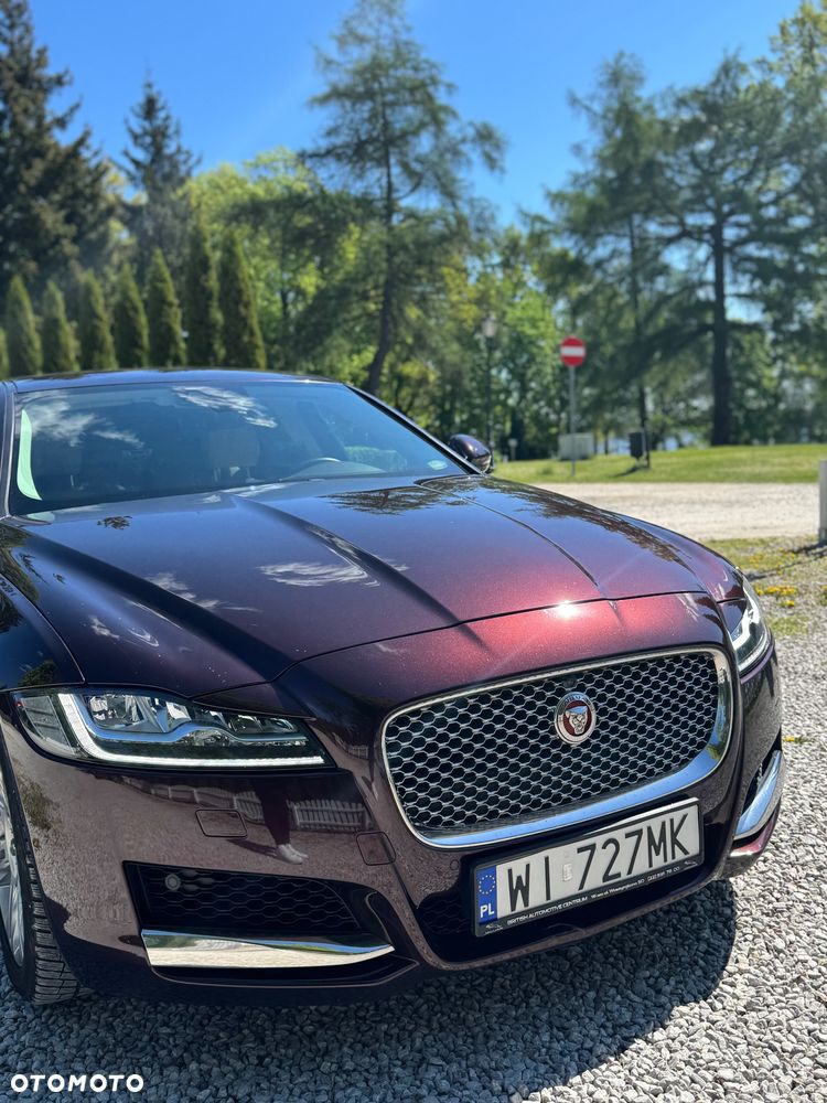Jaguar XF 2.0 T AWD Portfolio - 3