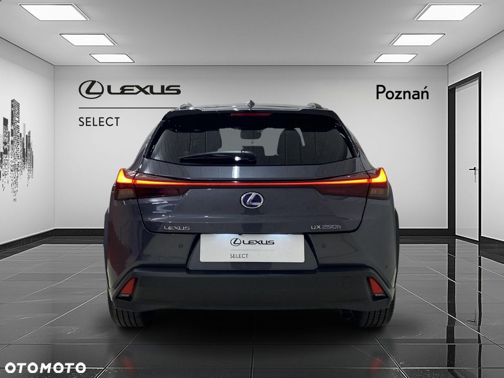 Lexus UX - 8