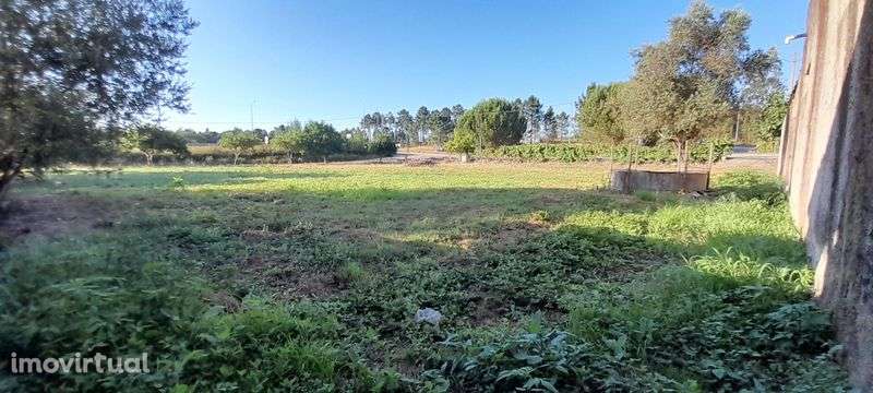 Vendo terreno, bons s acessos - Grande imagem: 5/6