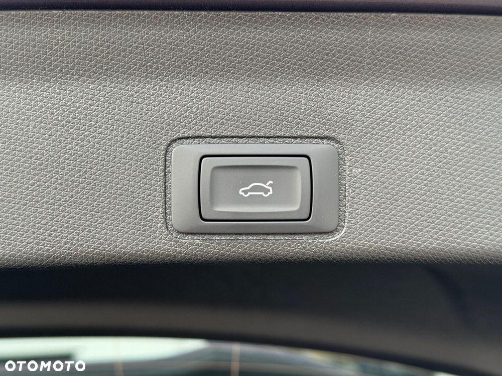 Cupra Terramar - 13